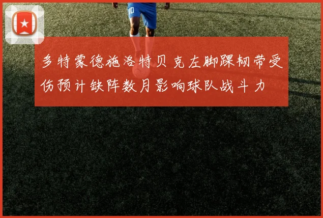 多特蒙德施洛特贝克左脚踝韧带受伤预计缺阵数月影响球队战斗力